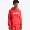 Hoodie Logo Sweat à capuche sportif – Fabriqué en Italie – Unisexe Hoodie Logo Sweat à capuche sportif – Fabriqué en Italie – Unisexe