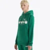 Sweat à capuche Logo Sweat à capuche color block Sweat à capuche Logo Sweat à capuche color block