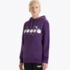 Sweat à capuche Logo Sweat à capuche color block Sweat à capuche Logo Sweat à capuche color block