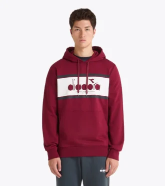 Sweat à capuche Logo Sweat à capuche color block
