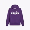 Sweat à capuche Logo Sweat à capuche color block Sweat à capuche Logo Sweat à capuche color block