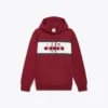 Sweat à capuche Logo Sweat à capuche color block Sweat à capuche Logo Sweat à capuche color block