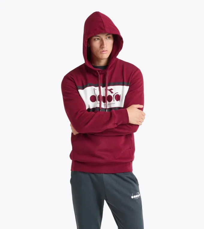 Sweat à capuche Logo Sweat à capuche color block Sweat à capuche Logo Sweat à capuche color block