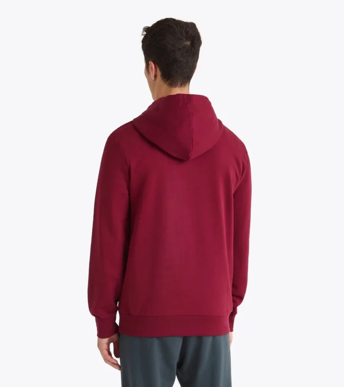 Sweat à capuche Logo Sweat à capuche color block Sweat à capuche Logo Sweat à capuche color block