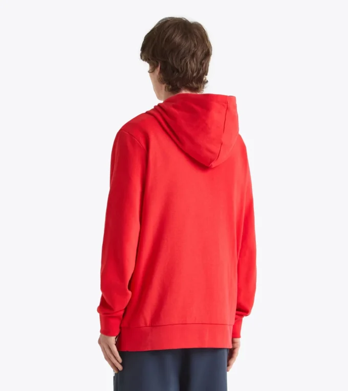 Sweat à capuche Logo Sweat à capuche color block Sweat à capuche Logo Sweat à capuche color block