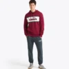 Sweat à capuche Logo Sweat à capuche color block Sweat à capuche Logo Sweat à capuche color block